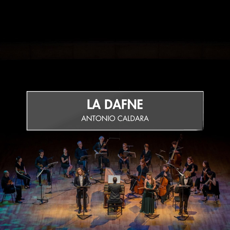 – Concerto Soave